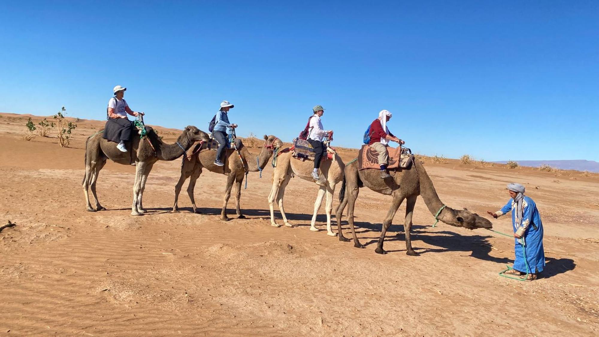 Atta Desert Camp El Gouera 外观 照片
