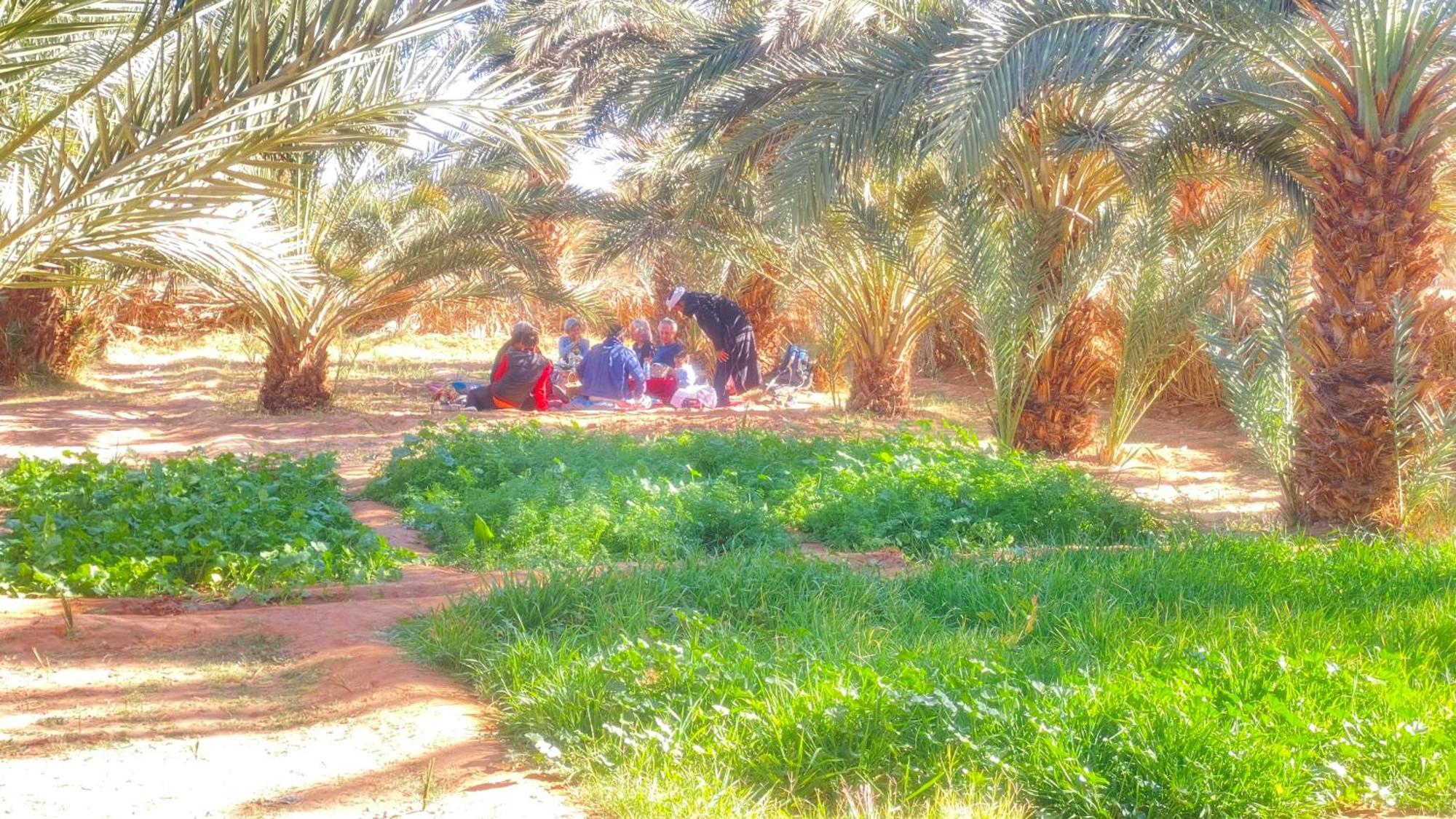 Atta Desert Camp El Gouera 外观 照片