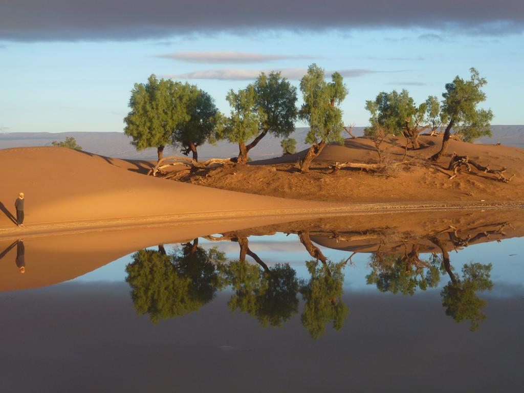 Atta Desert Camp El Gouera 外观 照片